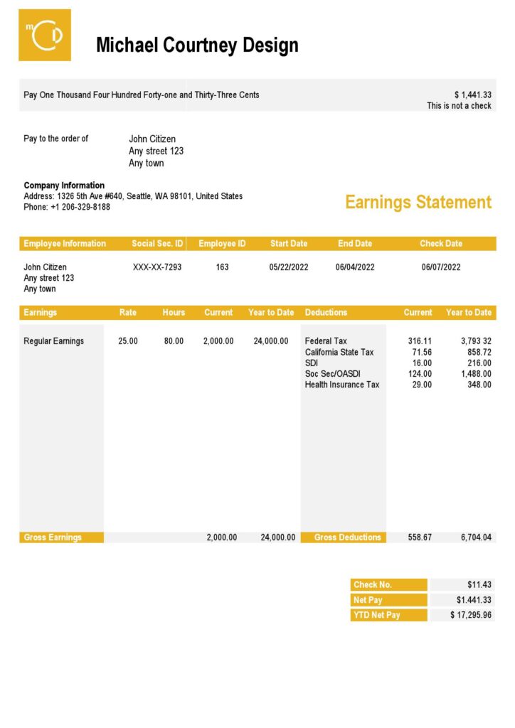 USA Michael Courtney Design graphic company pay stub Word and PDF template