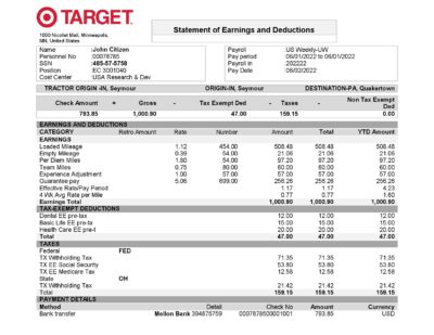 USA Target retail company pay stub Word and PDF template