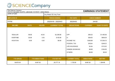 USA The Science Company science company pay stub Word and PDF template