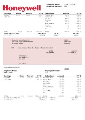 USA Honeywell conglomerate company pay stub Word and PDF template