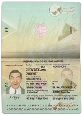 Authentic Salvador PSD Passport Template