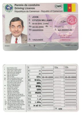 Fake Cameroon Driver License Template | PSD Layer-Based