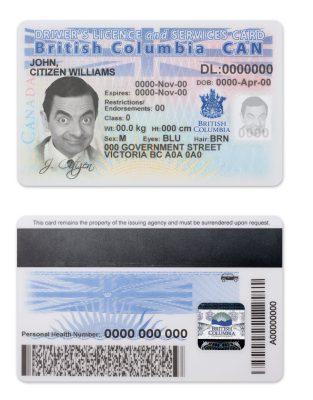 Fake Canada province British Columbia Driver License Template | PSD Layer-Based