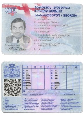 Fake Georgia Driver License Template
