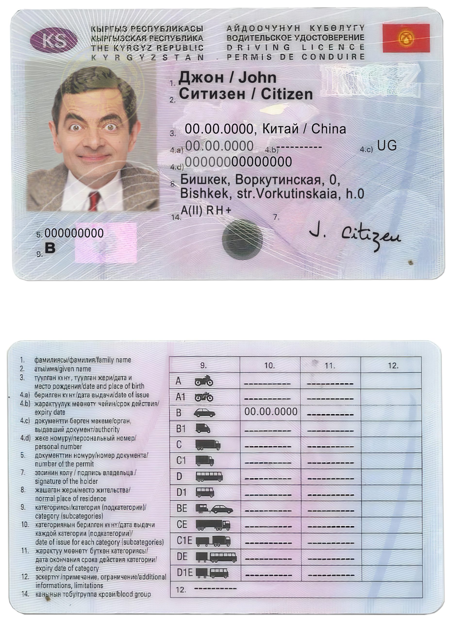 Fake Kyrgyzstan Driver License Template | PSD Layer-Based