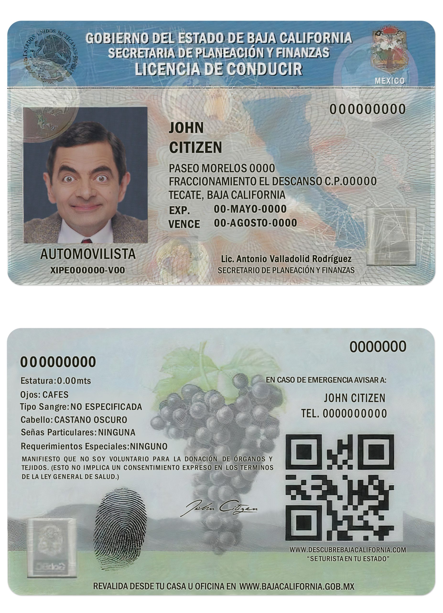 Fake Mexico Baja California Driver License Template | PSD Layer-Based