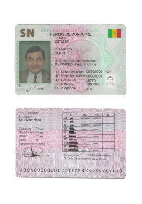 Fake Senegal Driver License Template