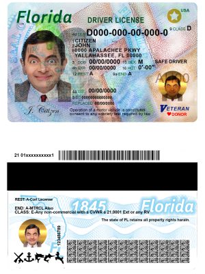 Fake USA Florida Driver License Template | PSD Layer-Based