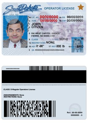 Fake USA South Dakota Driver License Template