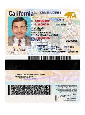 Fake USA state California Driver License Template (2018, January – present) | PSD Layer