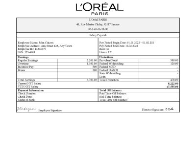 France Loreal Paris cosmetic distributing company pay stub Word and PDF template