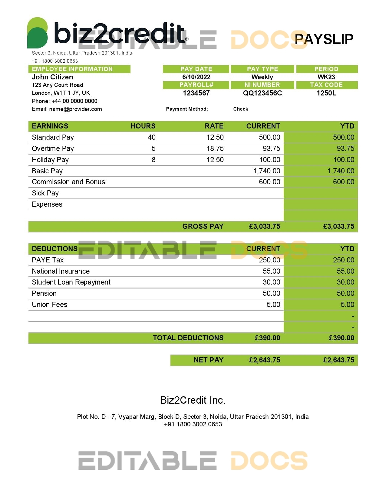 India Biz2Credit Inc. consumer lending company pay stub Word and PDF template