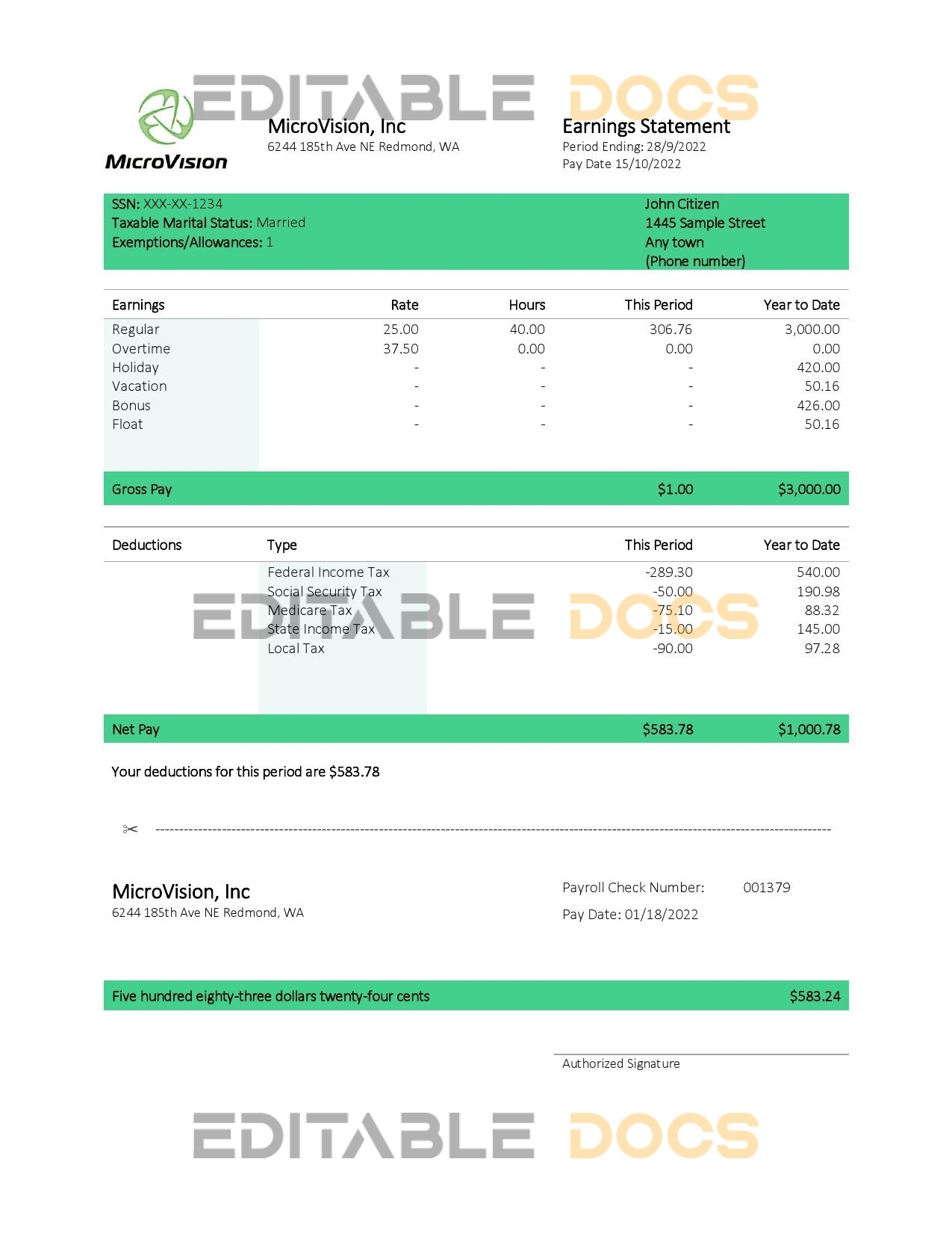USA MicroVision informational company pay stub Word and PDF template