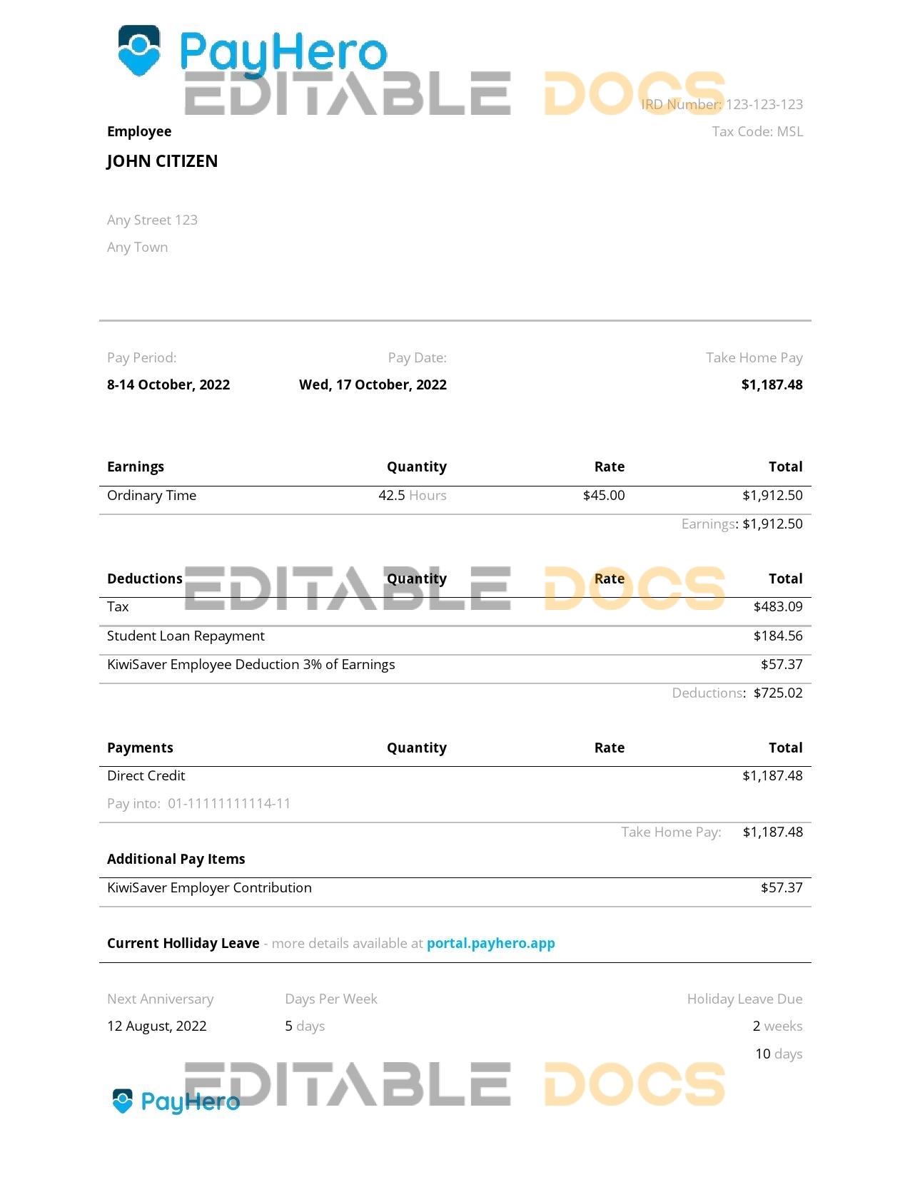 USA PayHero financial company pay stub Word and PDF template