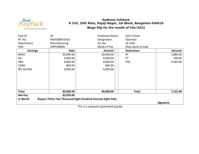 India Sadhana infotech pharmaceutical company pay stub Word and PDF template