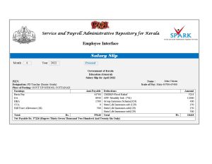 India Editable Docs 16 India Service and Payroll Administrative Repository for Kerala payroll company pay stub Word and PDF template