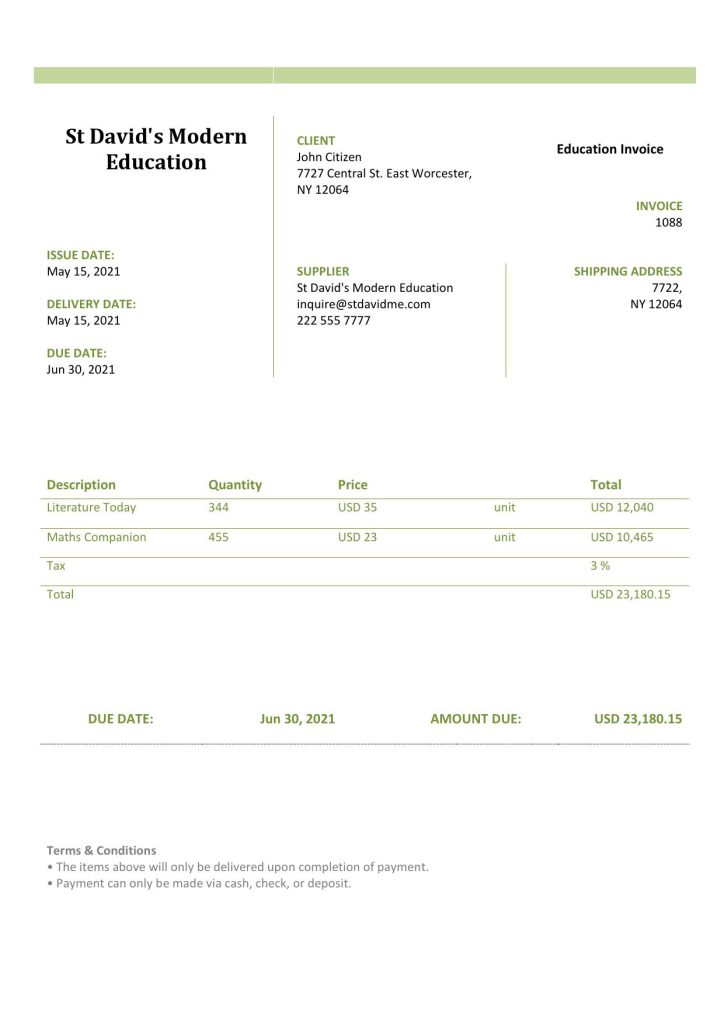 USA St David’s Modern Education invoice template in Word and PDF format, fully editable