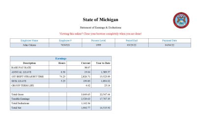 USA State of Michigan social services company pay stub Word and PDF template