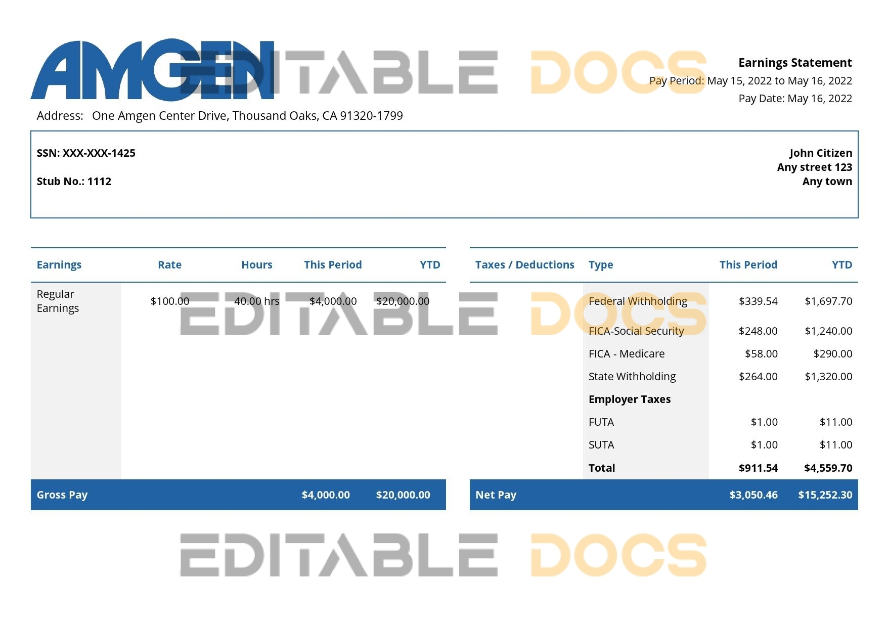 USA Amgen biotechnology company pay stub Word and PDF template