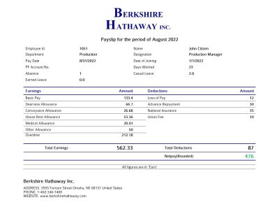 USA Berkshire Hathaway conglomerate company pay stub Word and PDF template