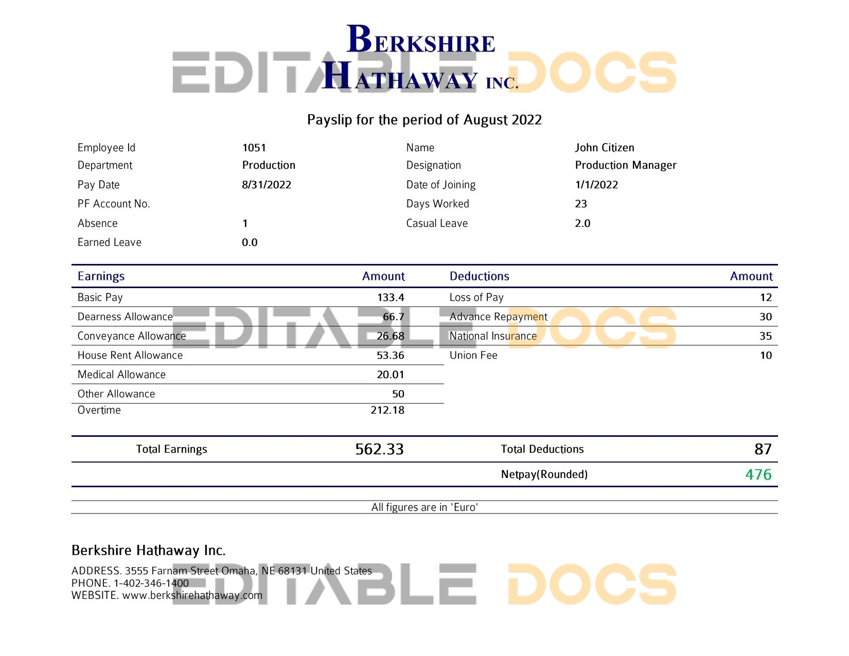 USA Berkshire Hathaway conglomerate company pay stub Word and PDF template