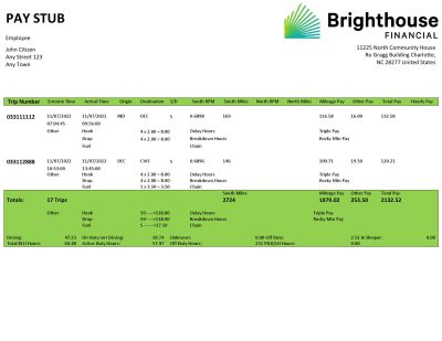 USA Brighthouse Financial financial company pay stub Word and PDF template