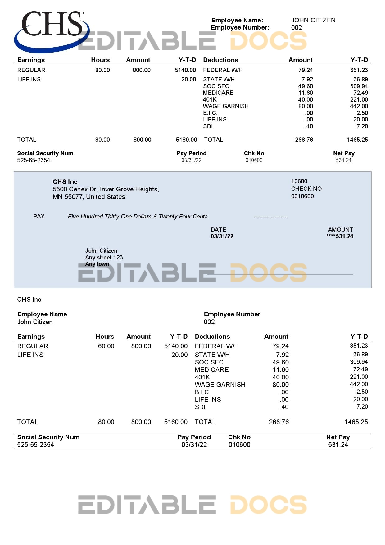 USA CHS Inc. agricultural company pay stub Word and PDF template