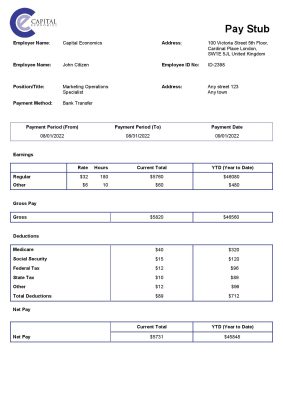 USA Capital Economics economic company pay stub Word and PDF template