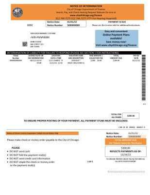 USA Chicago Notice of Determination pay stub Word and PDF template