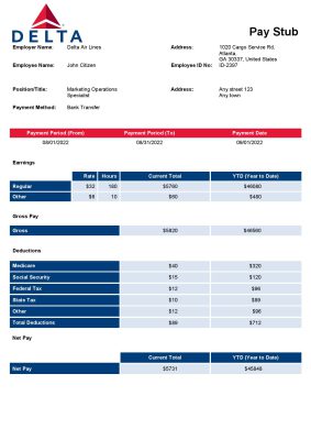 USA Delta Air Lines airlines company pay stub Word and PDF template