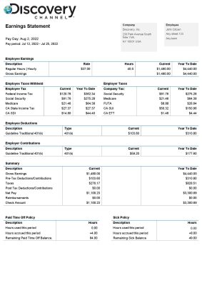 USA Discovery Inc. entertainment company pay stub Word and PDF template