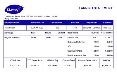 USA Diversey household goods company pay stub Word and PDF template