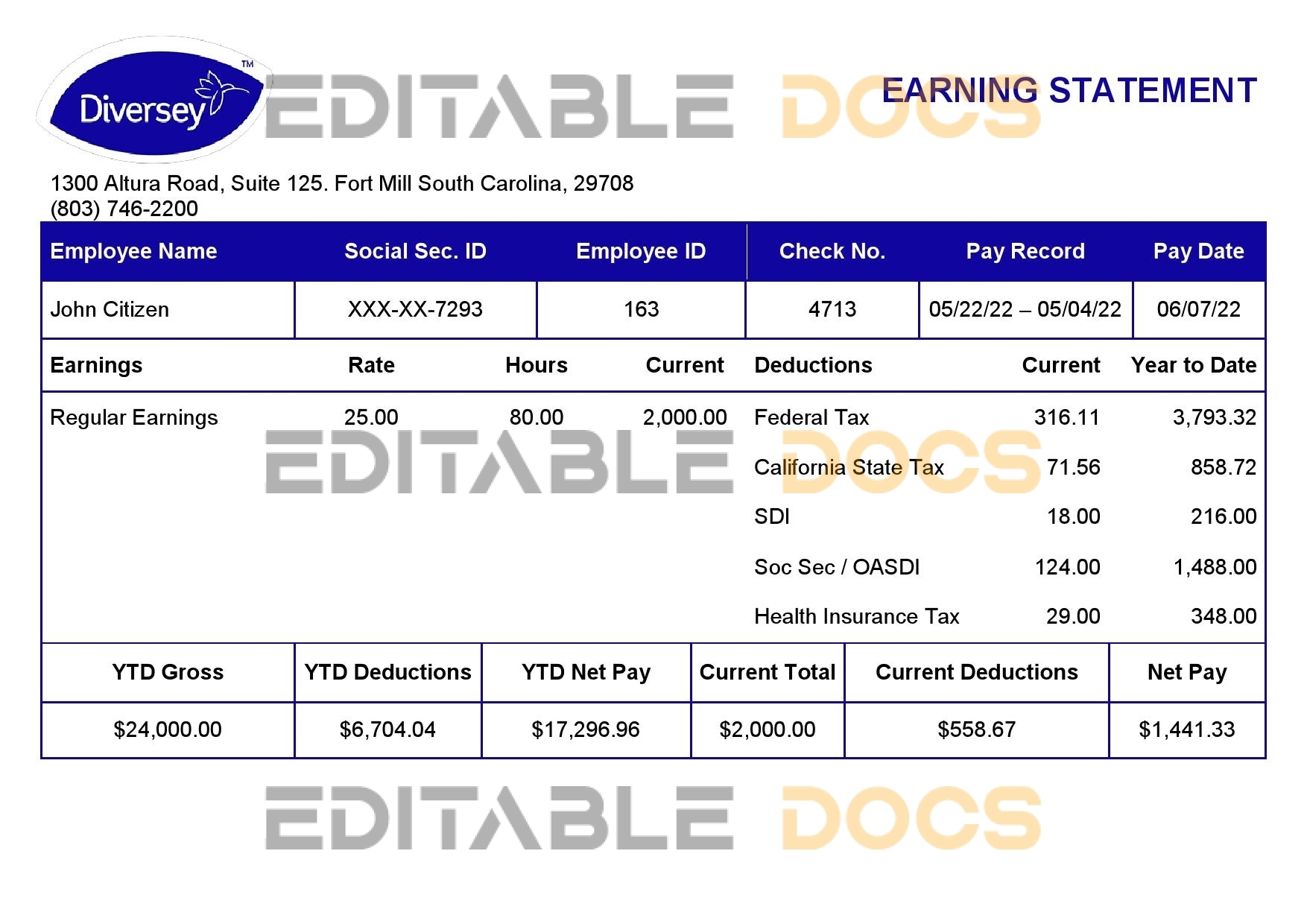 USA Diversey household goods company pay stub Word and PDF template
