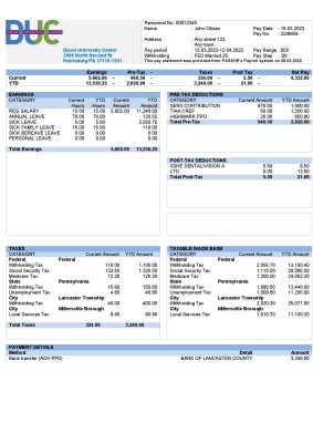 USA Dixon University Center educational company pay stub Word and PDF template