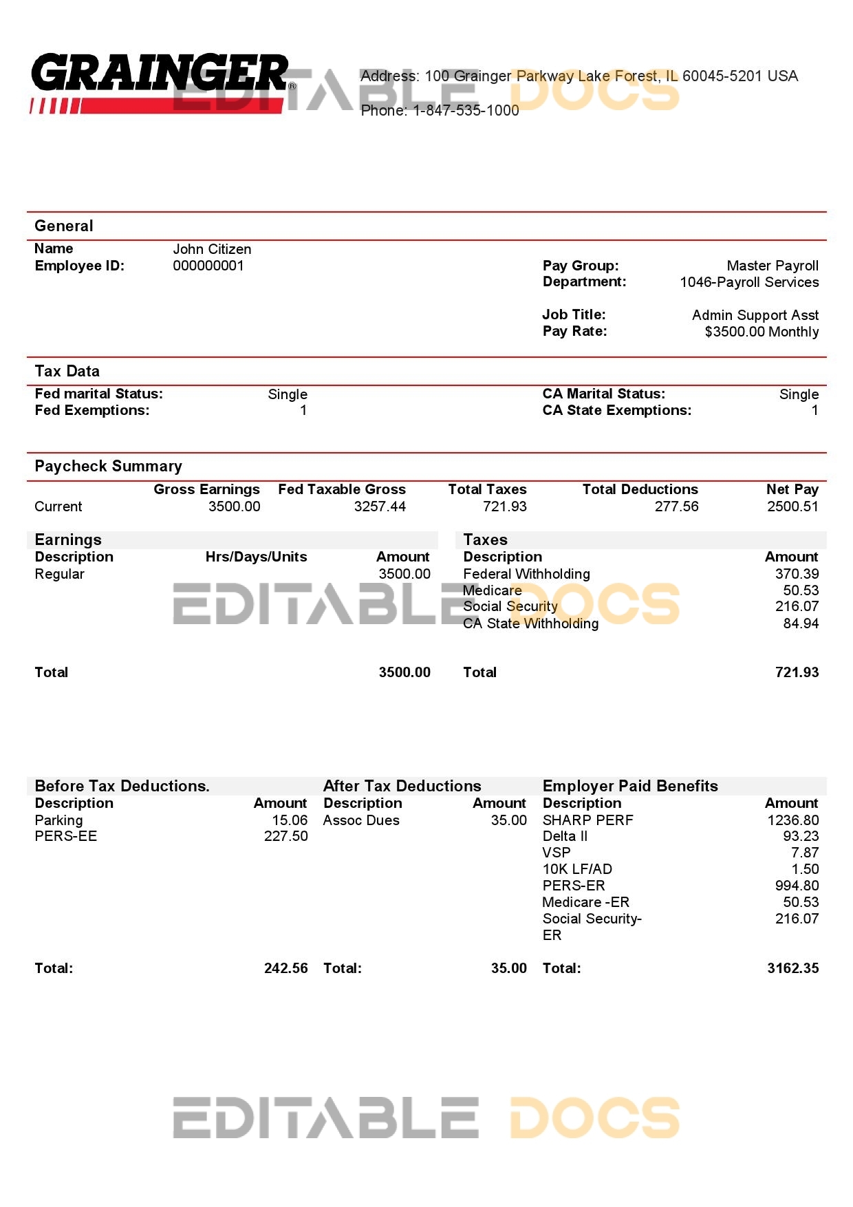 USA Grainger industry company pay stub Word and PDF template