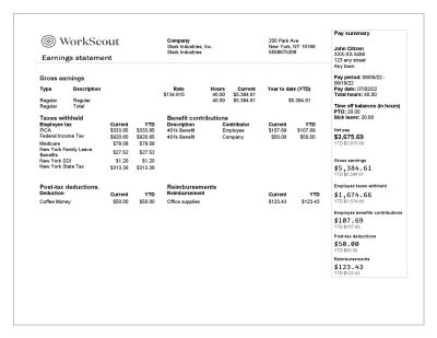 USA IT technologies company earning statement template in Word and PDF format