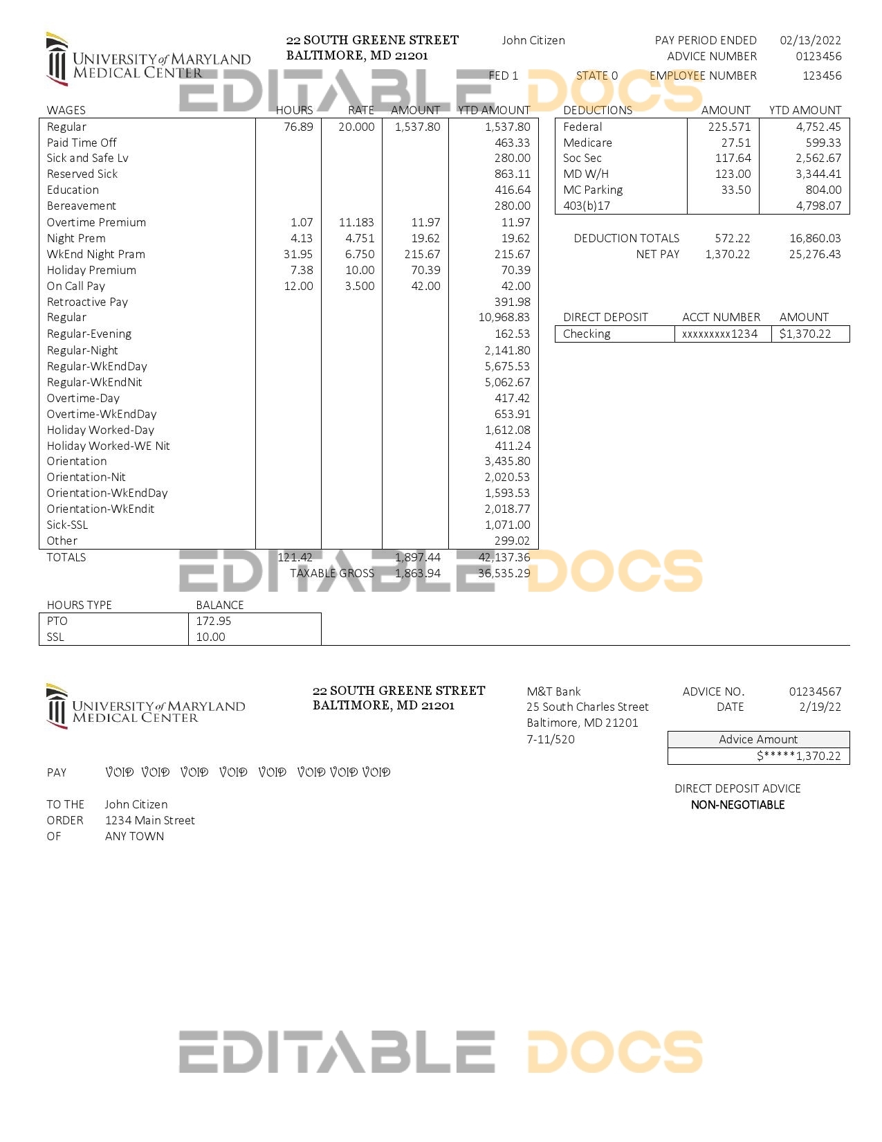 USA Maryland University of Maryland Medical Center pay stub Word and PDF template