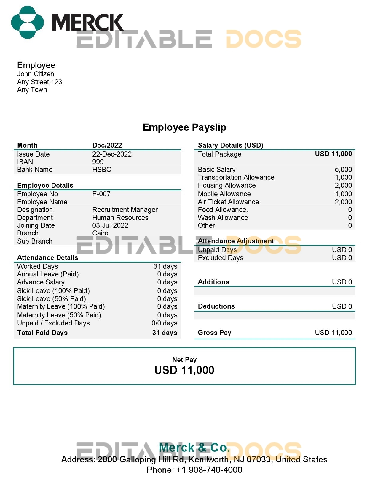 USA Merck & Co. pharmaceutical company pay stub Word and PDF template