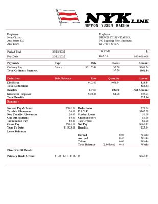 USA NIPPON YUSEN KAISHA shipping company pay stub Word and PDF template