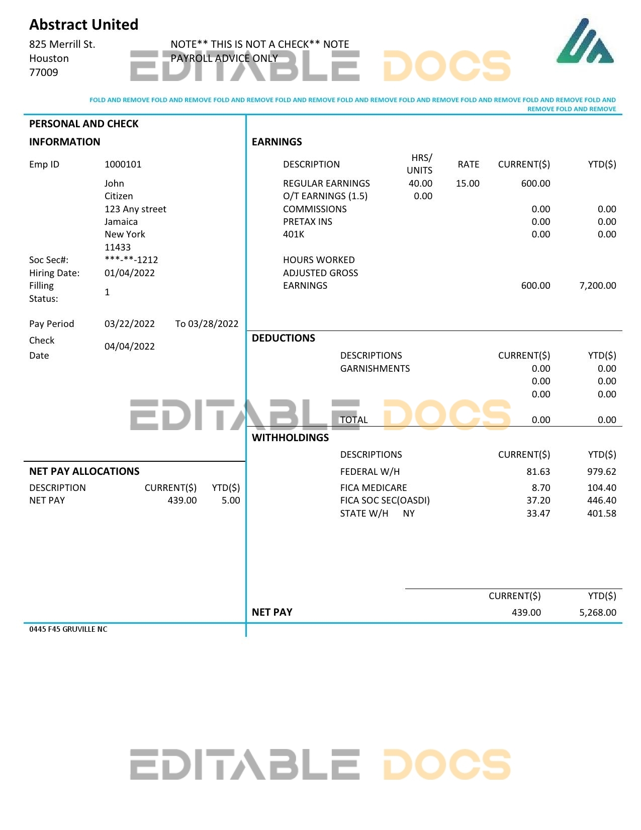 USA New York Abstract United pay stub Word and PDF template
