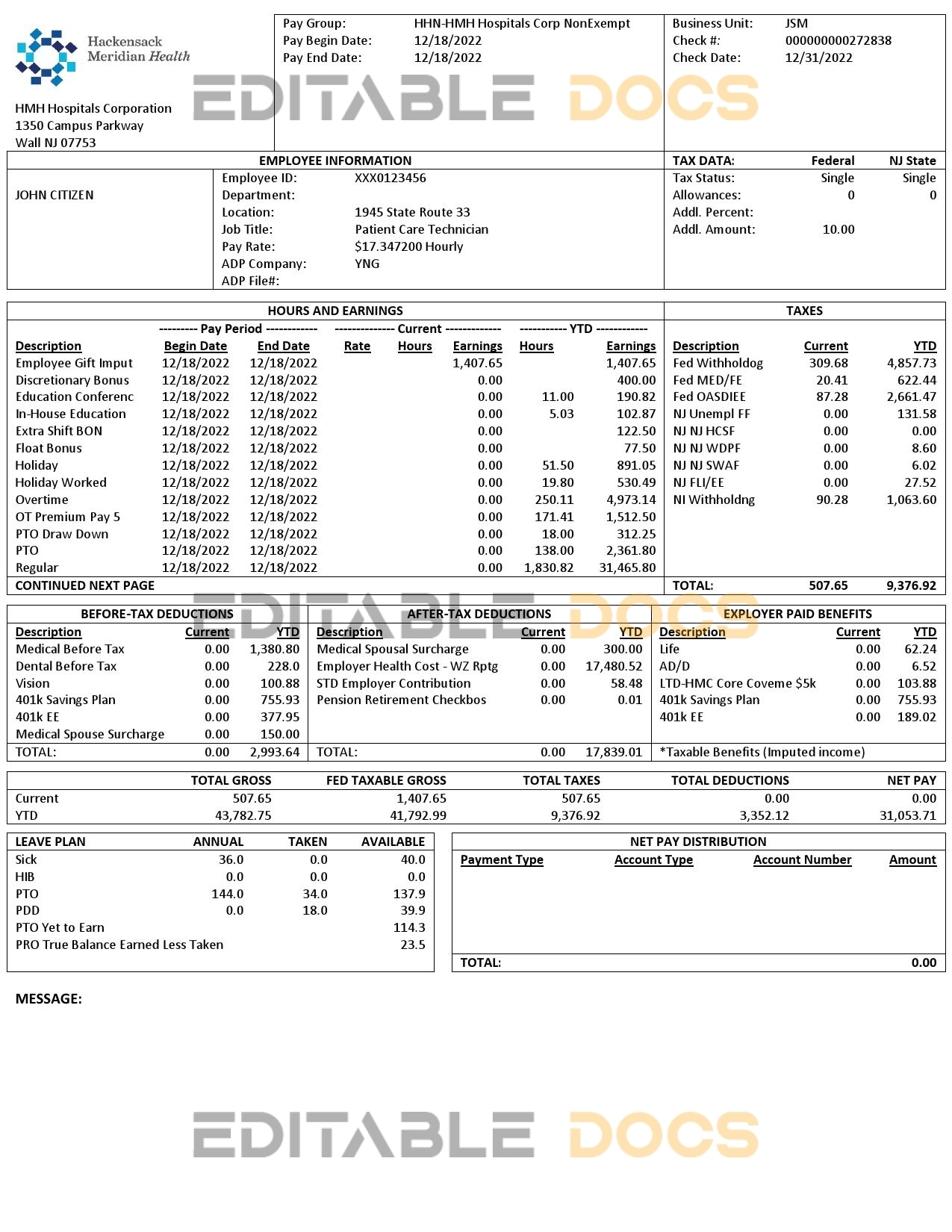 USA New Jersey Hackensack Meridian Health earnings statement Word and PDF template