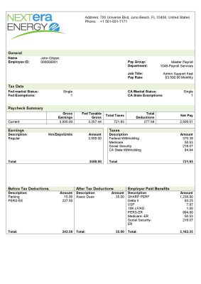 USA NextEra Energy electric company pay stub Word and PDF template