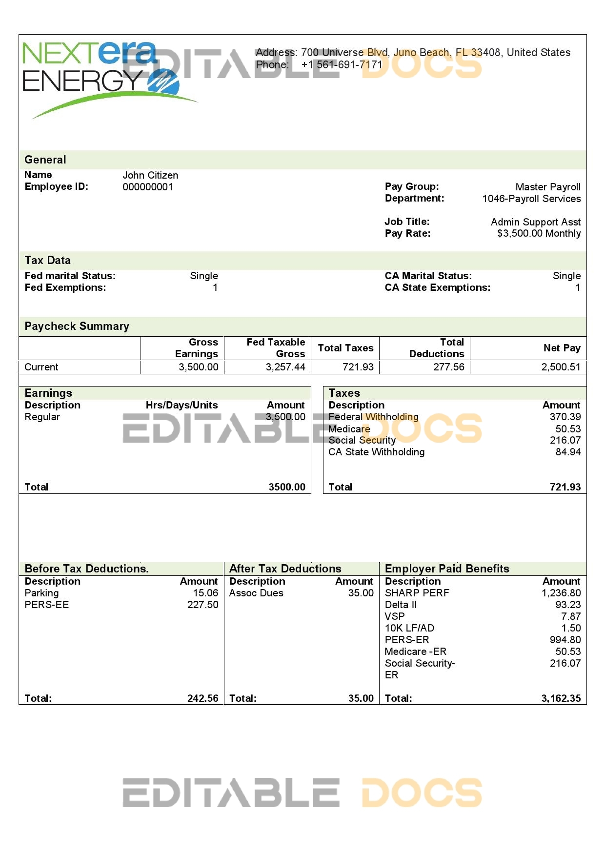 USA NextEra Energy electric company pay stub Word and PDF template