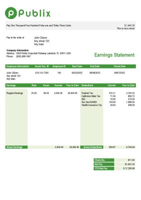 USA Publix Super Markets Inc. supermarket company pay stub Word and PDF template