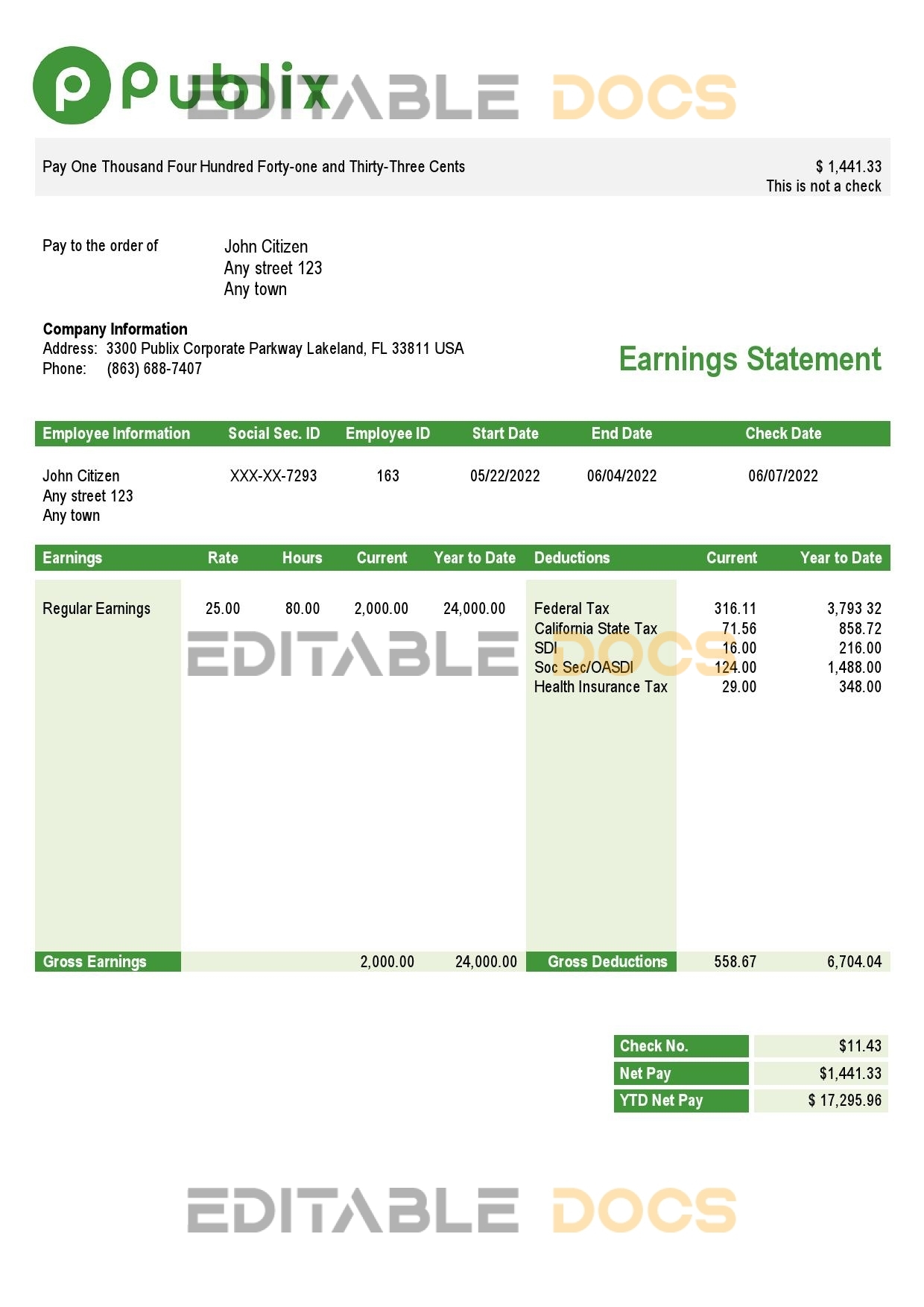 USA Publix Super Markets Inc. supermarket company pay stub Word and PDF template