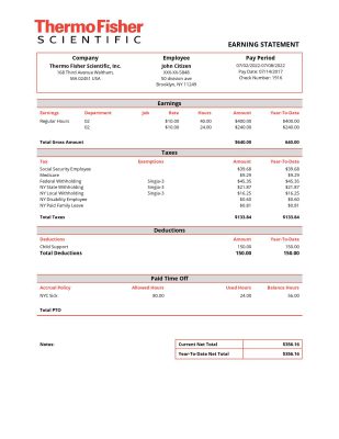 USA Thermo Fisher Scientific laboratory instruments company pay stub Word and PDF template