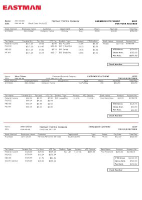 USA chemical industry earning statement template in Word and PDF format