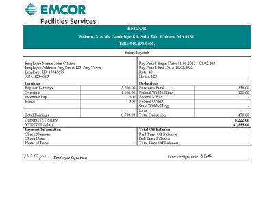 USA engineering company employee earning statement template in Word and PDF format
