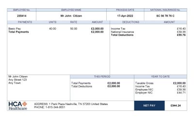 USA healthcare company employee sheet template in Word and PDF format