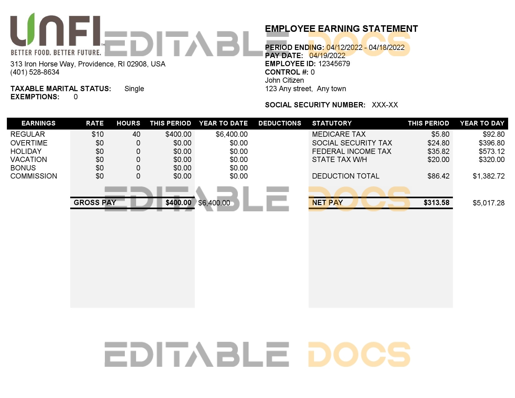 USA retail company earning statement template in Word and PDF format